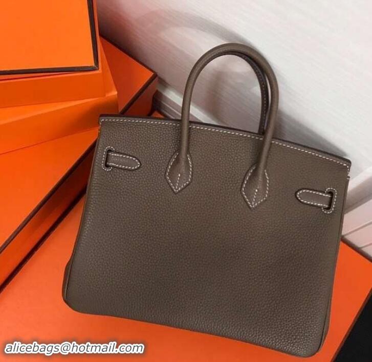 Popular Style Hermes Birkin 25cm Bag Etoupe in Togo Leather With Gold Hardware 423012