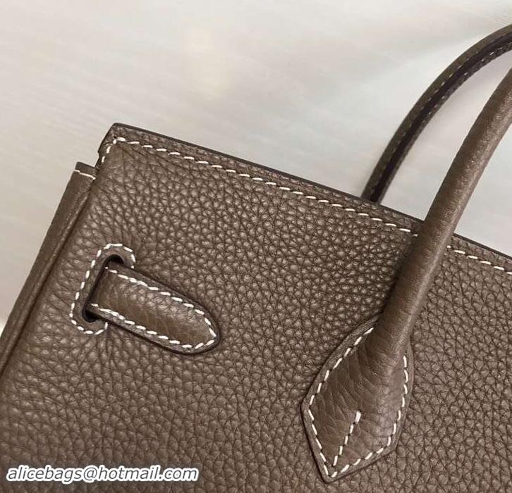 Popular Style Hermes Birkin 25cm Bag Etoupe in Togo Leather With Gold Hardware 423012