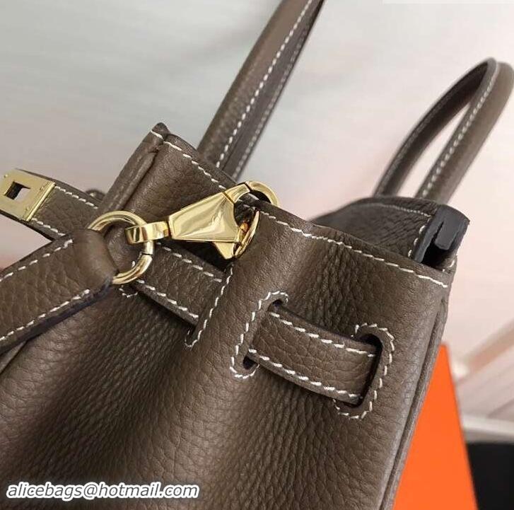 Popular Style Hermes Birkin 25cm Bag Etoupe in Togo Leather With Gold Hardware 423012