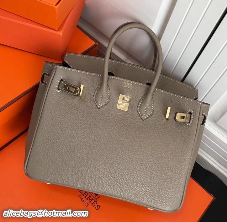 Stylish Hermes Birkin 25cm Bag Light Gray in Togo Leather With Gold Hardware 423012