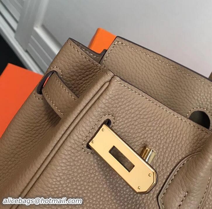 Grade Quality Hermes Birkin 25cm Bag Apricot in Togo Leather With Gold Hardware 423012