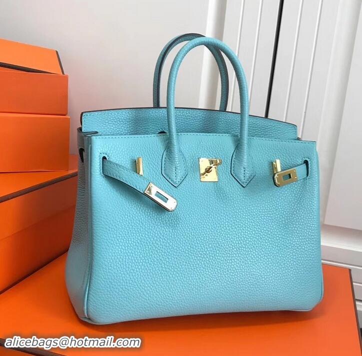 Crafted Hermes Birkin 25cm Bag Macaron Blue in Togo Leather With Gold Hardware 423012