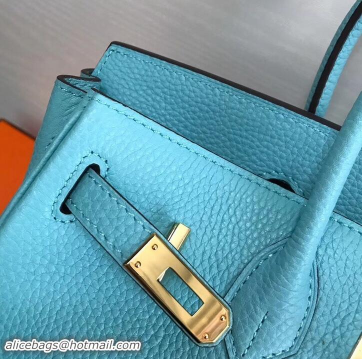 Crafted Hermes Birkin 25cm Bag Macaron Blue in Togo Leather With Gold Hardware 423012