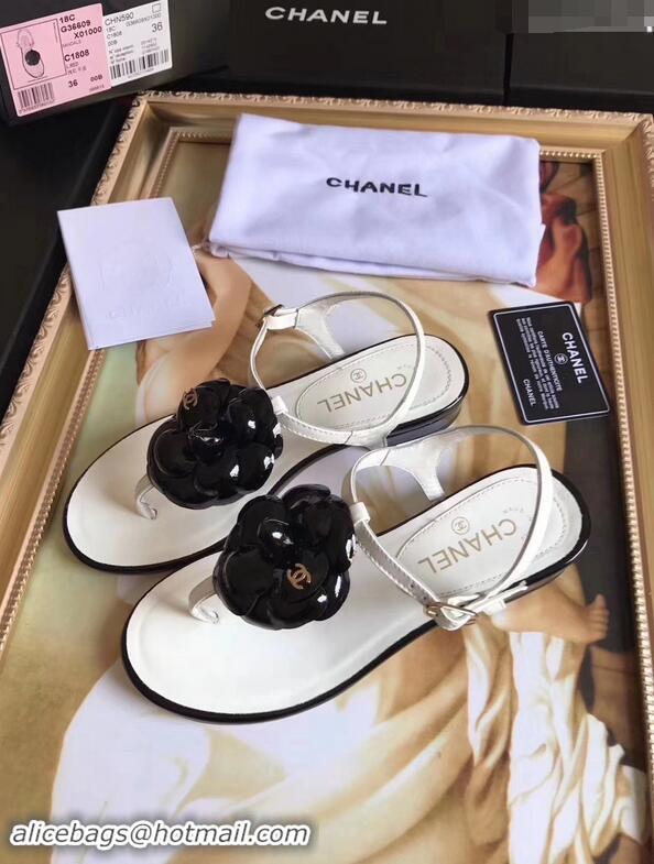 Hot Sell Chanel Camellia Thong Sandals G42601 White/Black 2019