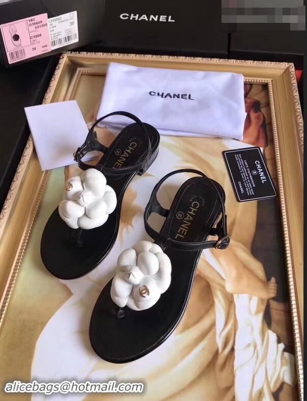 Youthful Chanel Camellia Thong Sandals G42601 Black/White 2019