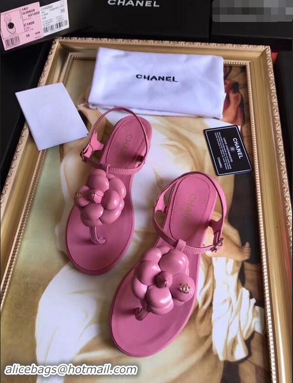 Imitation Cheapest Chanel Camellia Thong Sandals G42601 Pink 2019