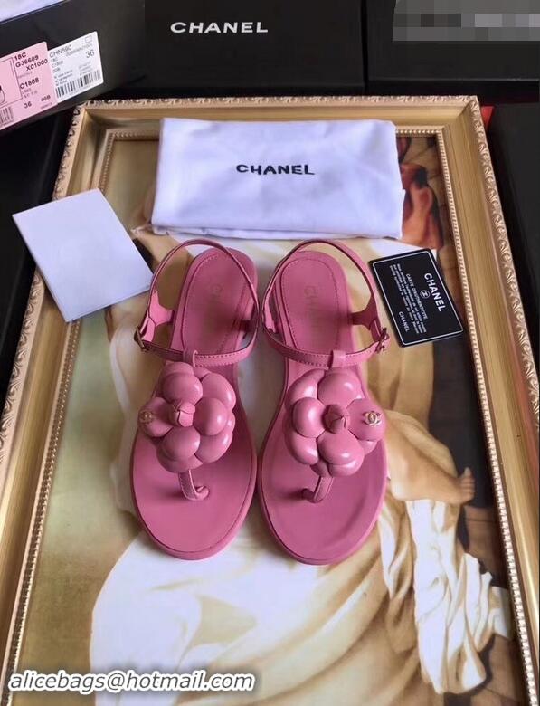 Imitation Cheapest Chanel Camellia Thong Sandals G42601 Pink 2019