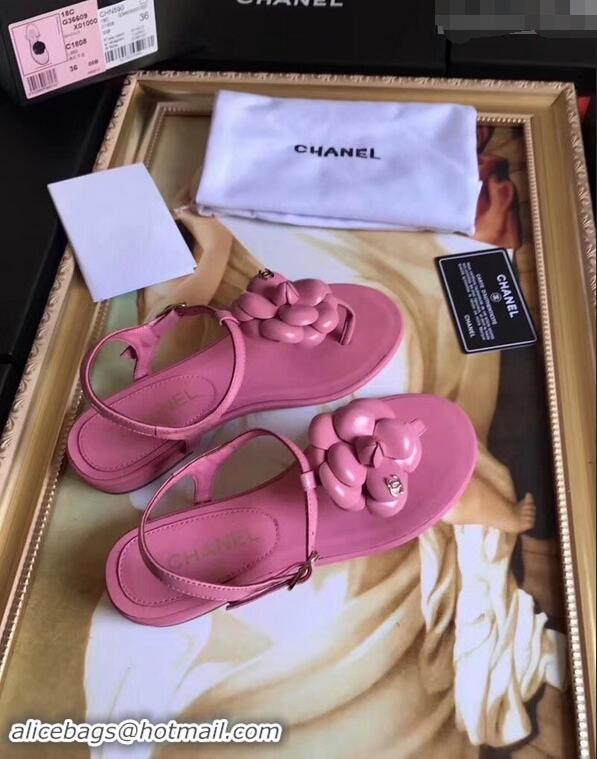 Imitation Cheapest Chanel Camellia Thong Sandals G42601 Pink 2019