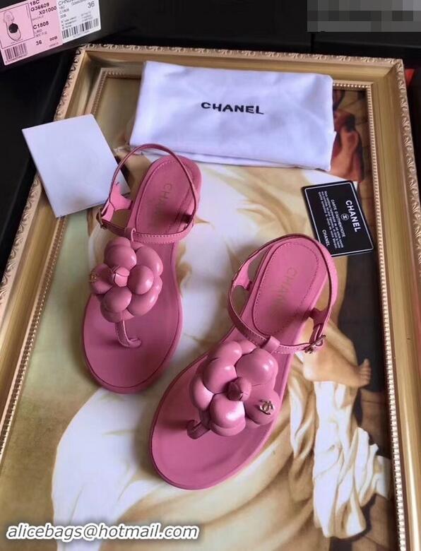 Imitation Cheapest Chanel Camellia Thong Sandals G42601 Pink 2019