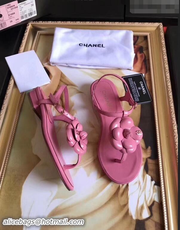 Imitation Cheapest Chanel Camellia Thong Sandals G42601 Pink 2019