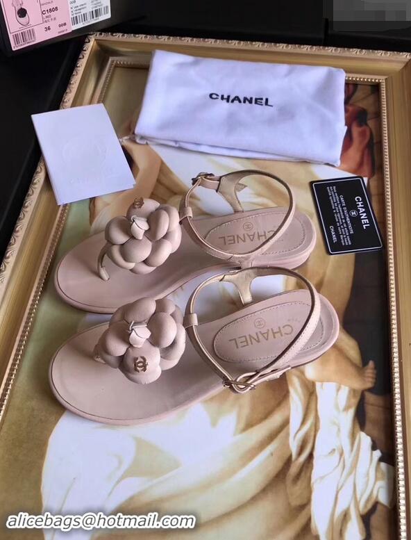 Buy Discount Chanel Camellia Thong Sandals G42601 Nude 2019