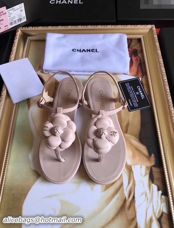 Buy Discount Chanel Camellia Thong Sandals G42601 Nude 2019