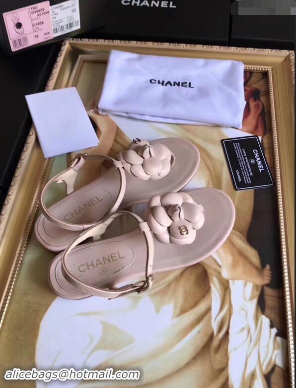 Buy Discount Chanel Camellia Thong Sandals G42601 Nude 2019