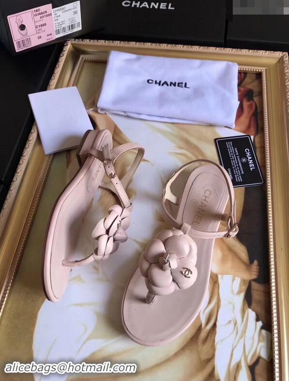 Buy Discount Chanel Camellia Thong Sandals G42601 Nude 2019