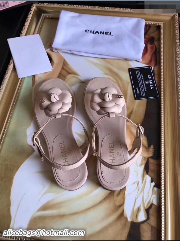 Buy Discount Chanel Camellia Thong Sandals G42601 Nude 2019