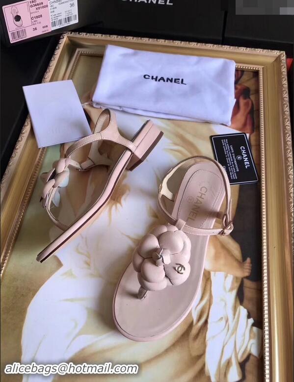 Buy Discount Chanel Camellia Thong Sandals G42601 Nude 2019