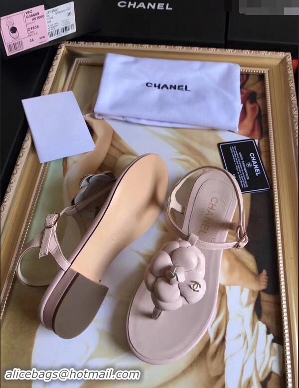 Buy Discount Chanel Camellia Thong Sandals G42601 Nude 2019