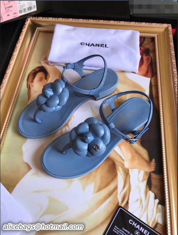 Classic Cheapest Chanel Camellia Thong Sandals G42601 Blue 2019