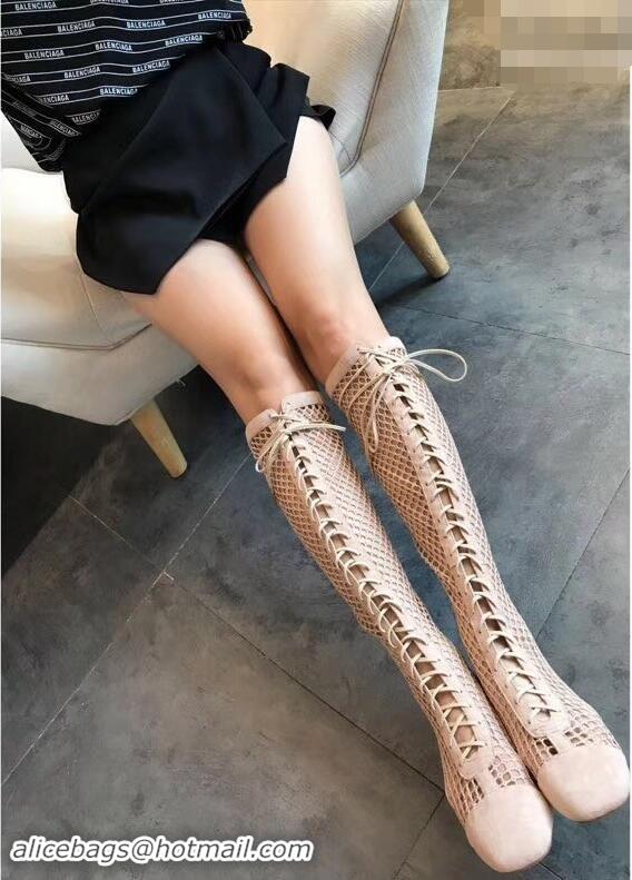 Super Dior Naughtily-D Laces Mesh Full Length Boots CD2309 Nude 2019