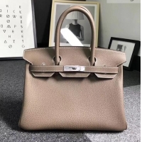 Popular Hermes Birkin 25cm Bag in Original Togo Leather Bag 423011 Elephant Grey 