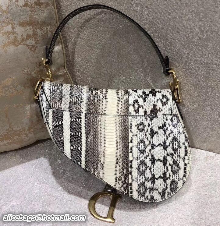 Perfect Dior Python Saddle Bag 500628