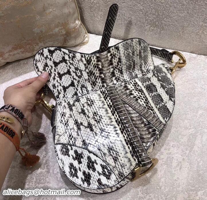 Perfect Dior Python Saddle Bag 500628