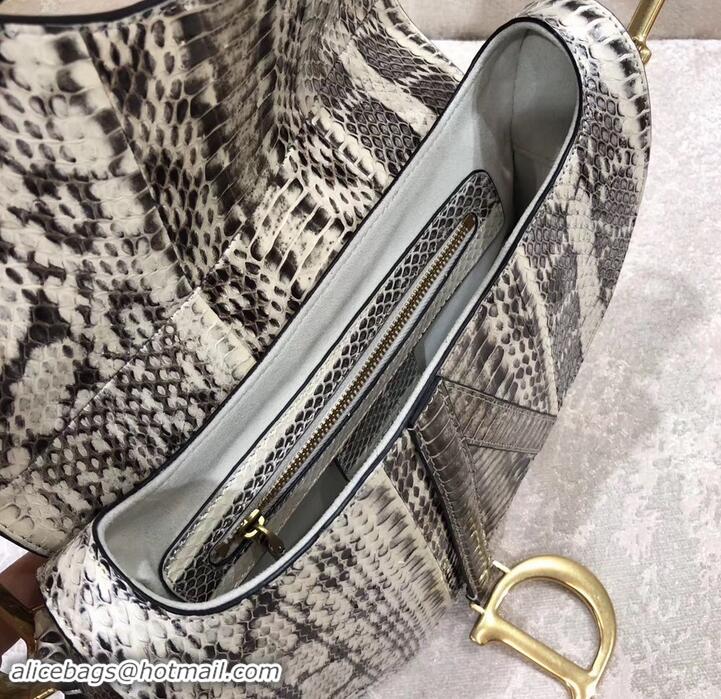 Perfect Dior Python Saddle Bag 500628