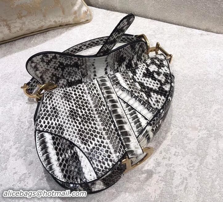 New Style Dior Python Mini Saddle Bag 500636