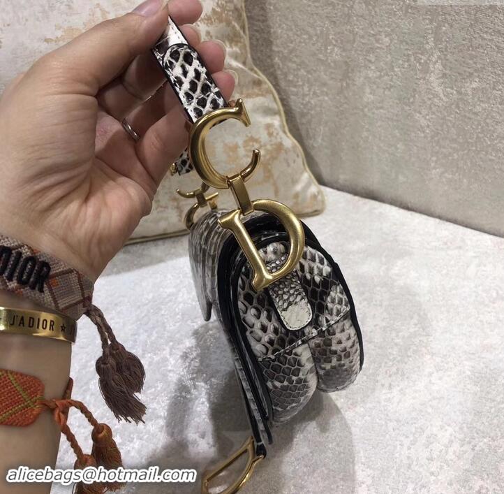 New Style Dior Python Mini Saddle Bag 500636