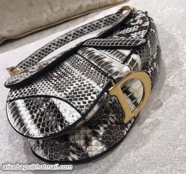 New Style Dior Python Mini Saddle Bag 500636