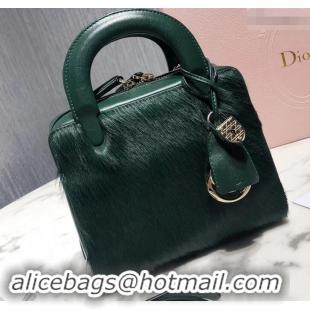 Luxury Dior Lily Bag In Horsehair Pony Effect 500811 Green