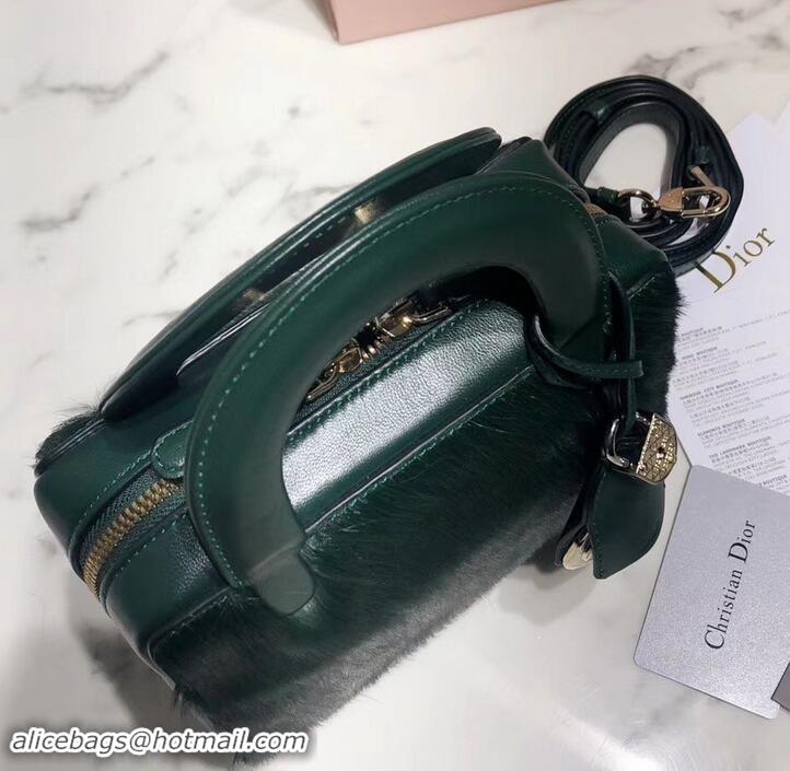 Luxury Dior Lily Bag In Horsehair Pony Effect 500811 Green