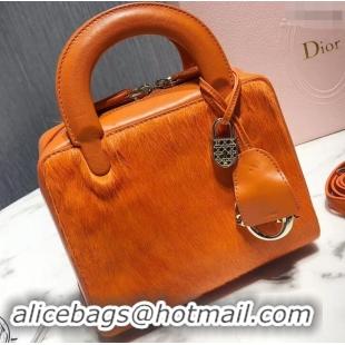 Buy Discount Dior Lily Bag In Horsehair Pony Effect 500811 Orange