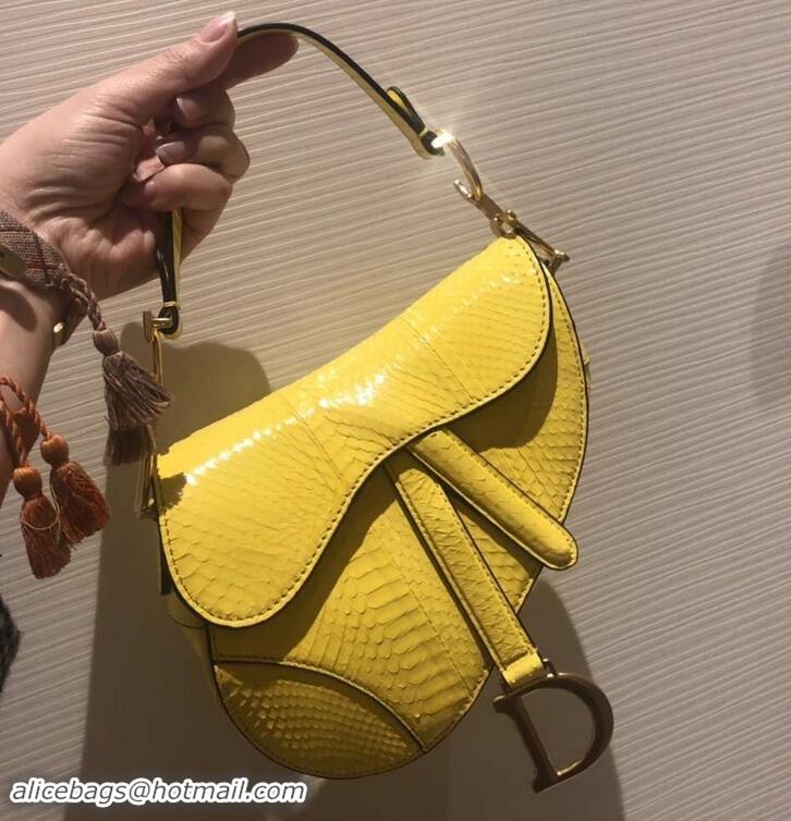 Classic Specials Dior Python Mini Saddle Bag 500823 Yellow 2019