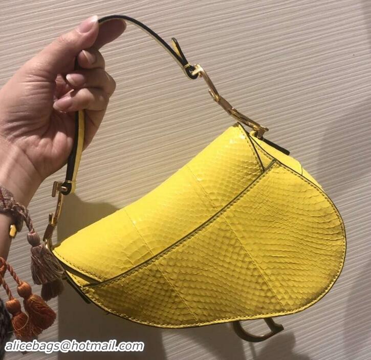 Classic Specials Dior Python Mini Saddle Bag 500823 Yellow 2019