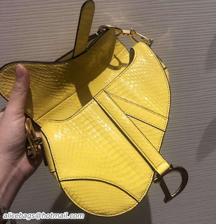 Classic Specials Dior Python Mini Saddle Bag 500823 Yellow 2019