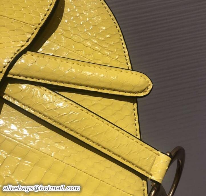 Classic Specials Dior Python Mini Saddle Bag 500823 Yellow 2019