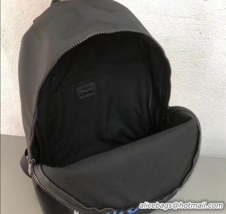 Good Product Dior Nylon Bee DIOR X KAWS Rider Backpack Bag Black with Blue Logo 500836 2019