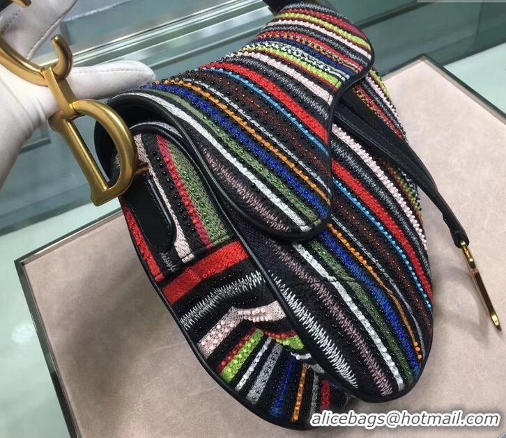 Unique Grade DIOR Multi-Coloured Stripes saddle FLAP BAG CD500846 2019