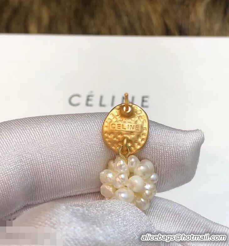 Free Shipping Discount Celine Earring C48219