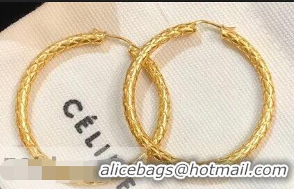 Top Quality Design Celine Earring C48226