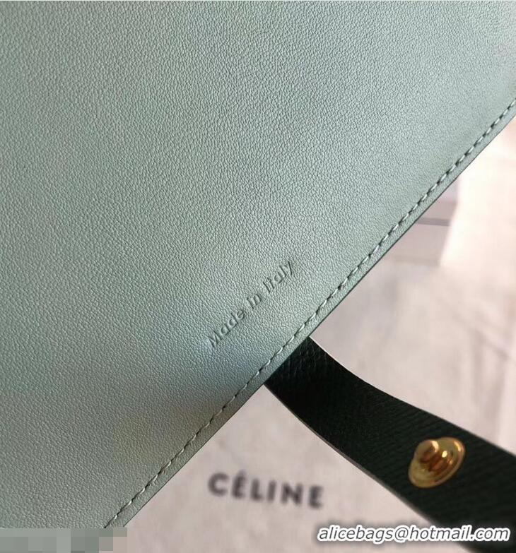 Low Price Celine Bicolour Large Strap Multifunction Wallet 952101 Dark Green/Pale Green