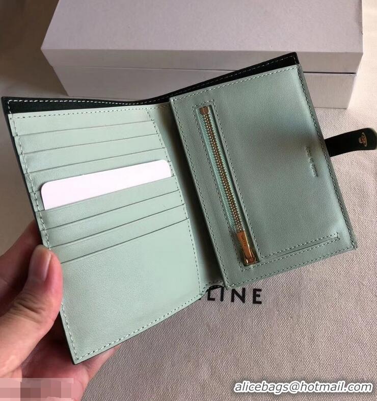 Good Celine Bicolour Medium Strap Multifunction Wallet 952102 Dark Green/Pale Green