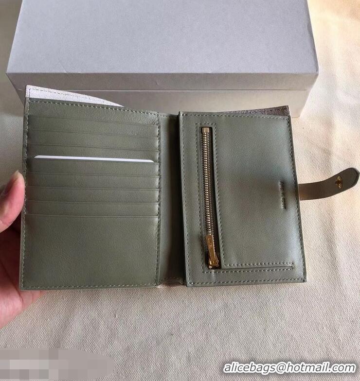 Top Grade Celine Bicolour Medium Strap Multifunction Wallet 952102 Creamy/Army Green