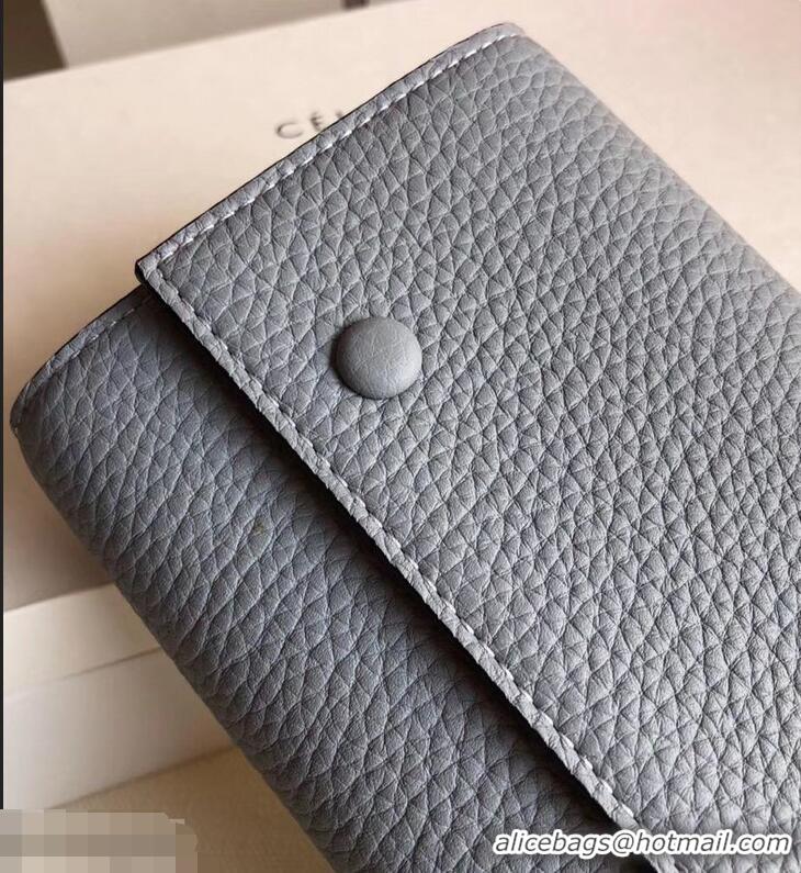 Youthful Celine Grained Leather Large Flap Multifunction Wallet 952145 Light Gray