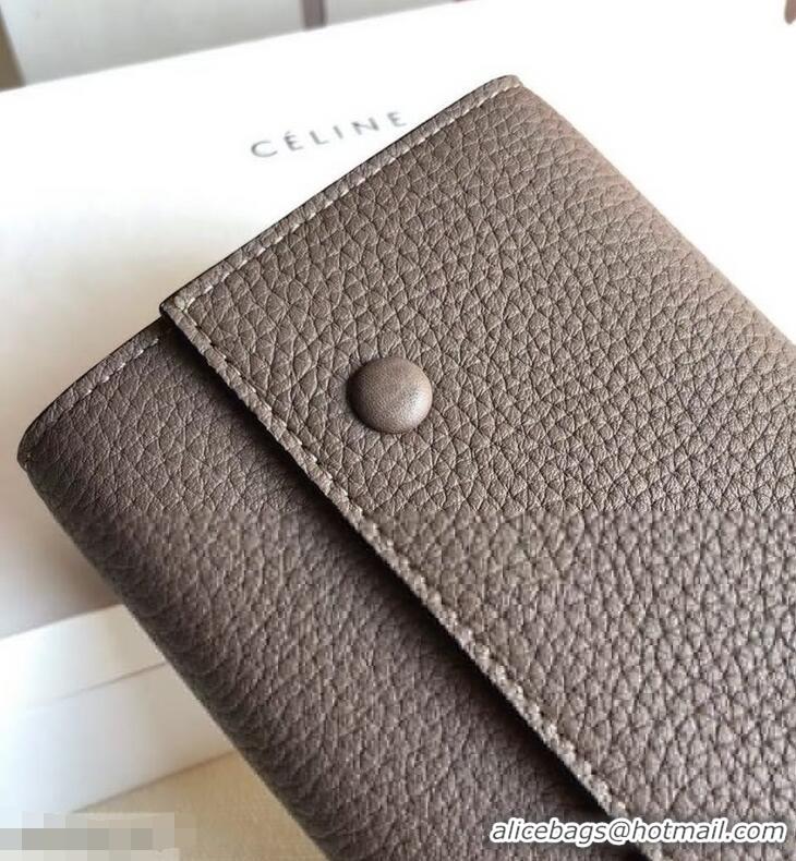 Most Popular Celine Grained Leather Large Flap Multifunction Wallet 952145 Etoupe