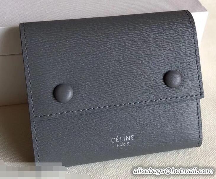 Expensive Celine Epi Small Flap Folded Multifunction Wallet 952151 Gray