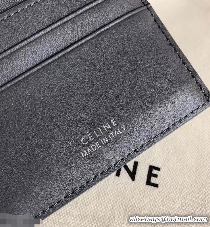 Expensive Celine Epi Small Flap Folded Multifunction Wallet 952151 Gray