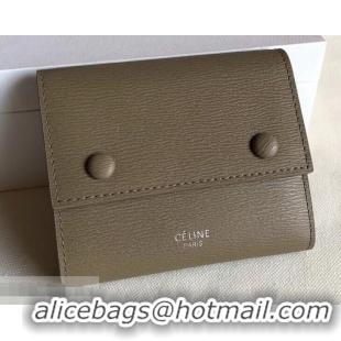 Generous Celine Epi Small Flap Folded Multifunction Wallet 952151 Coffee