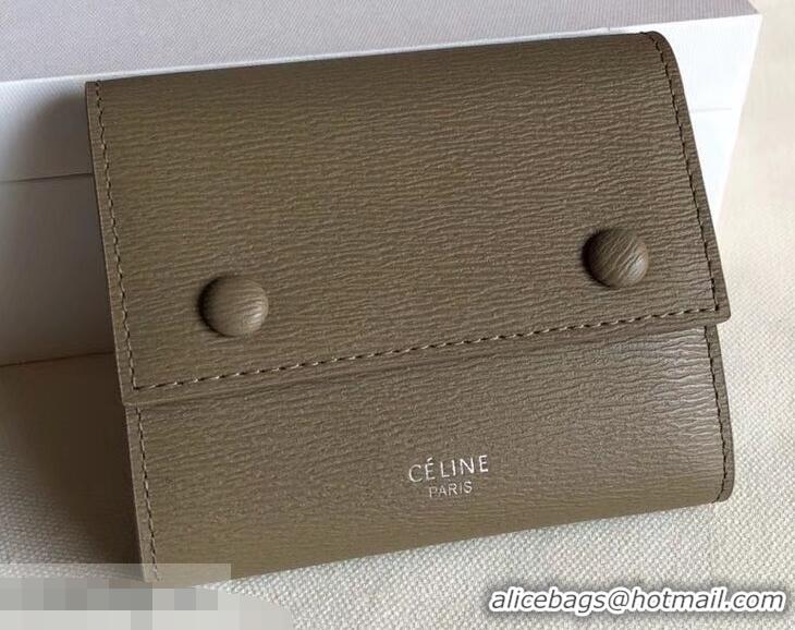 Generous Celine Epi Small Flap Folded Multifunction Wallet 952151 Coffee